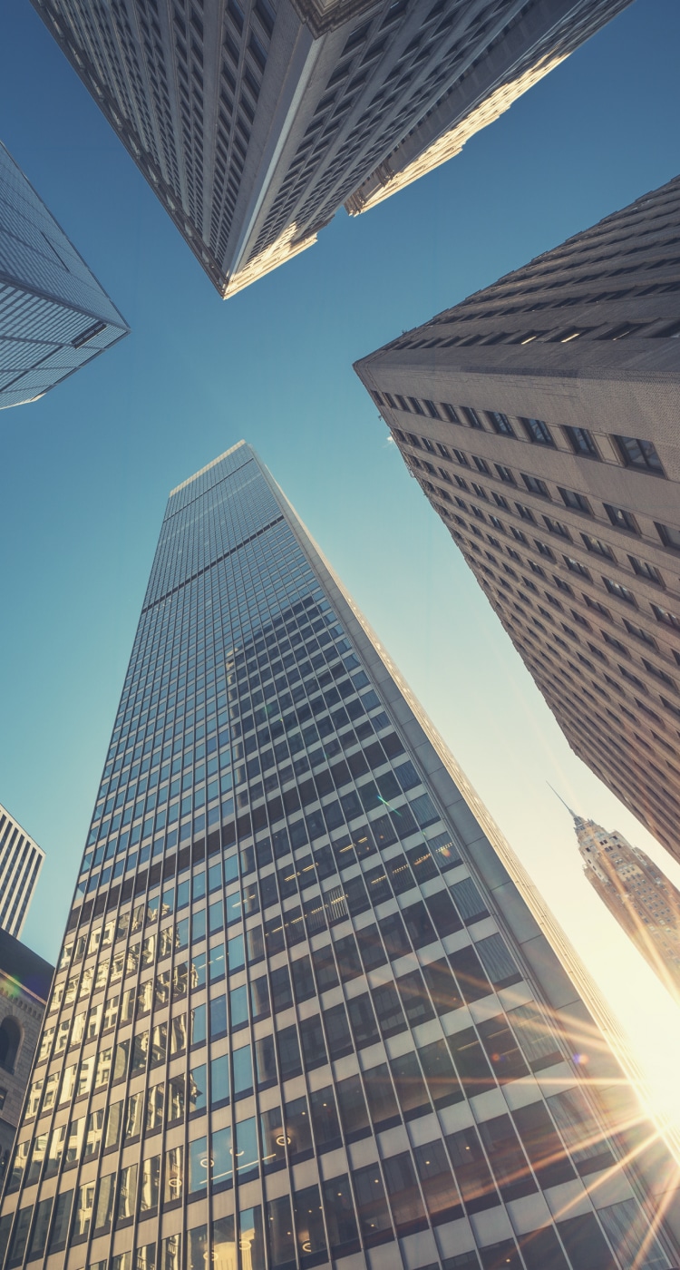 bridge-estate-main-mb