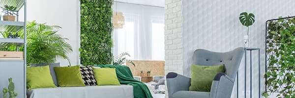 green-decoration-in-room-PFHB4RX-1.jpg