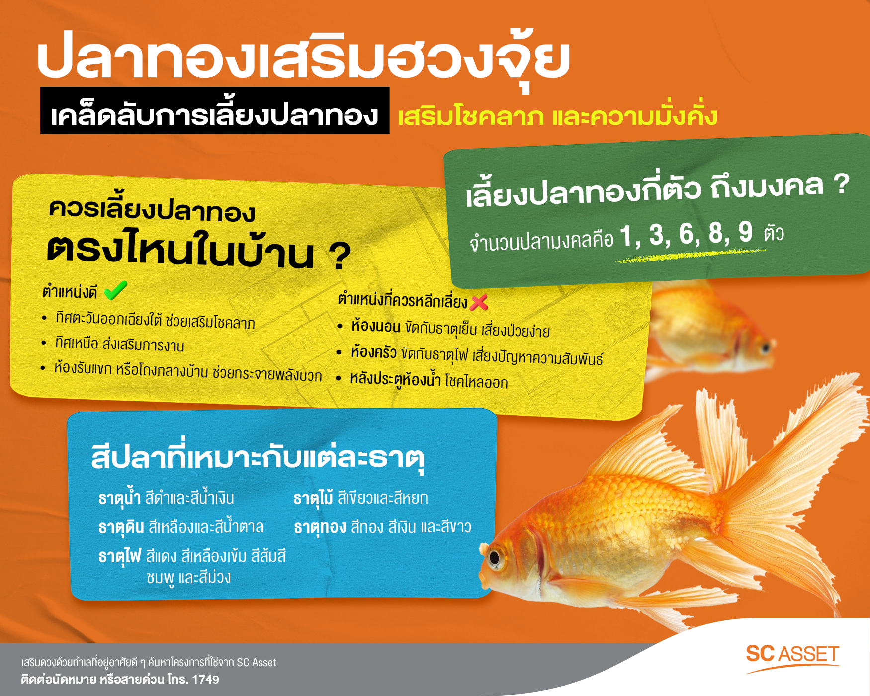 เคล็ดลับการเลี้ยงปลาทองเสริมฮวงจุ้ย