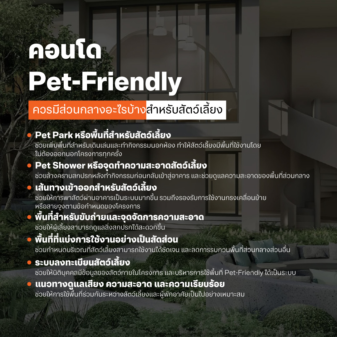 คอนโด Pet-Friendly ควรมีส่วนกลางอะไรบ้างสำหรับสัตว์เลี้ยง
