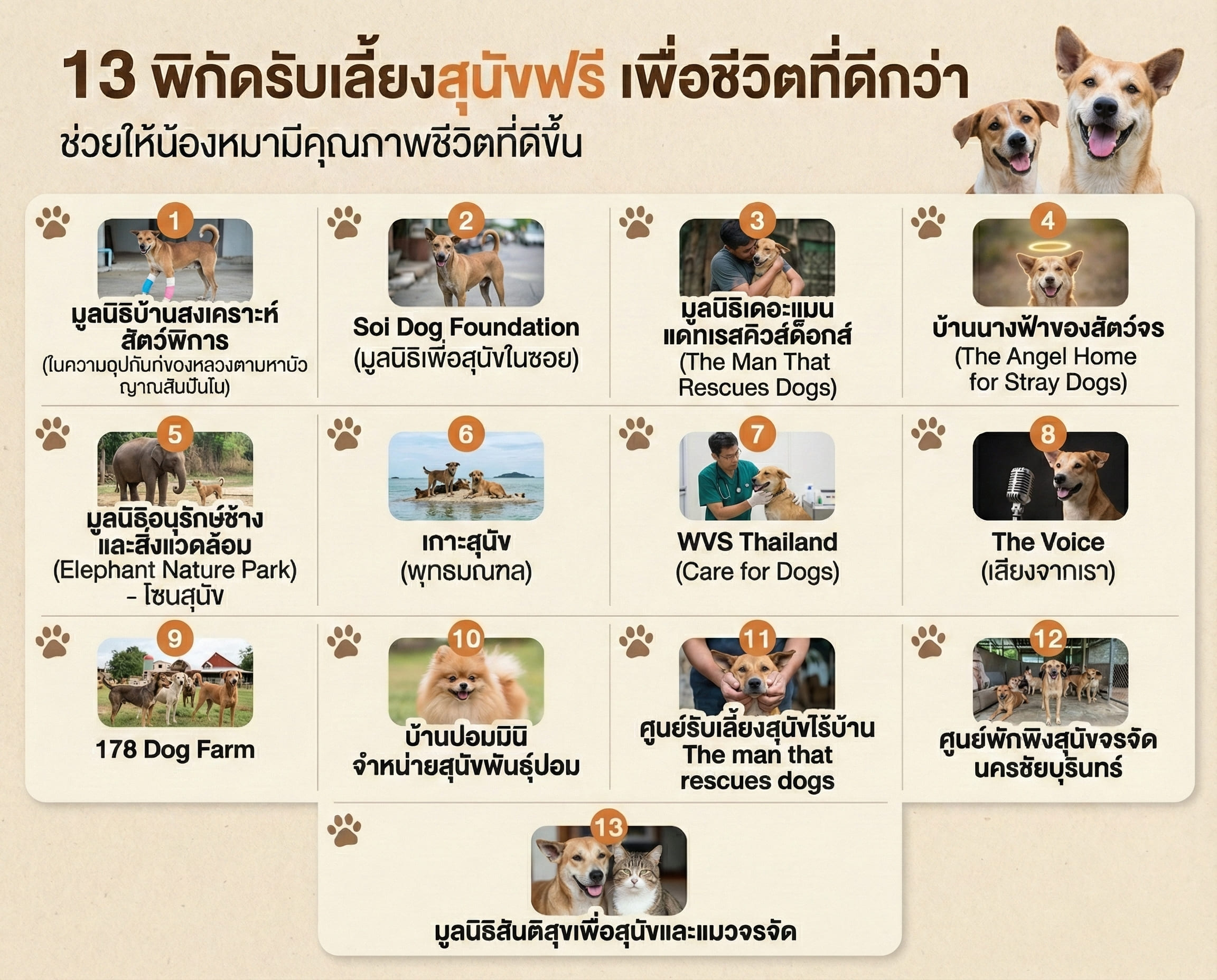 สถานที่รับเลี้ยงสุนัขจรจัด