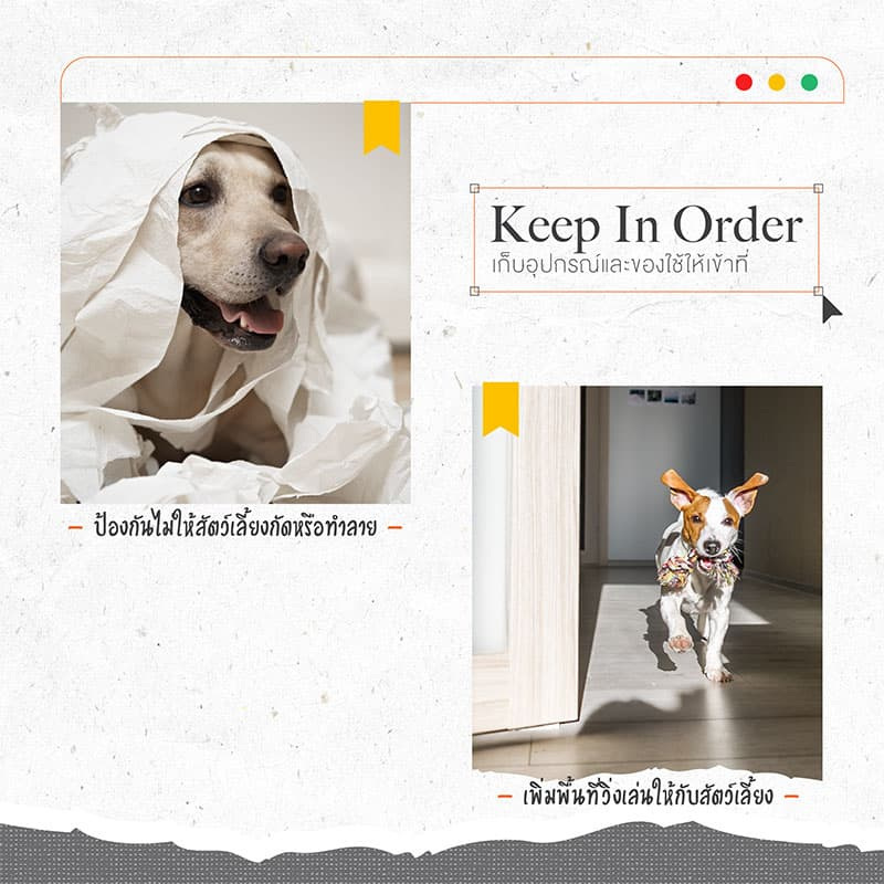 5-วิธีป้องกันสัตว์เลี้ยงทำลายบ้าน-8.jpg