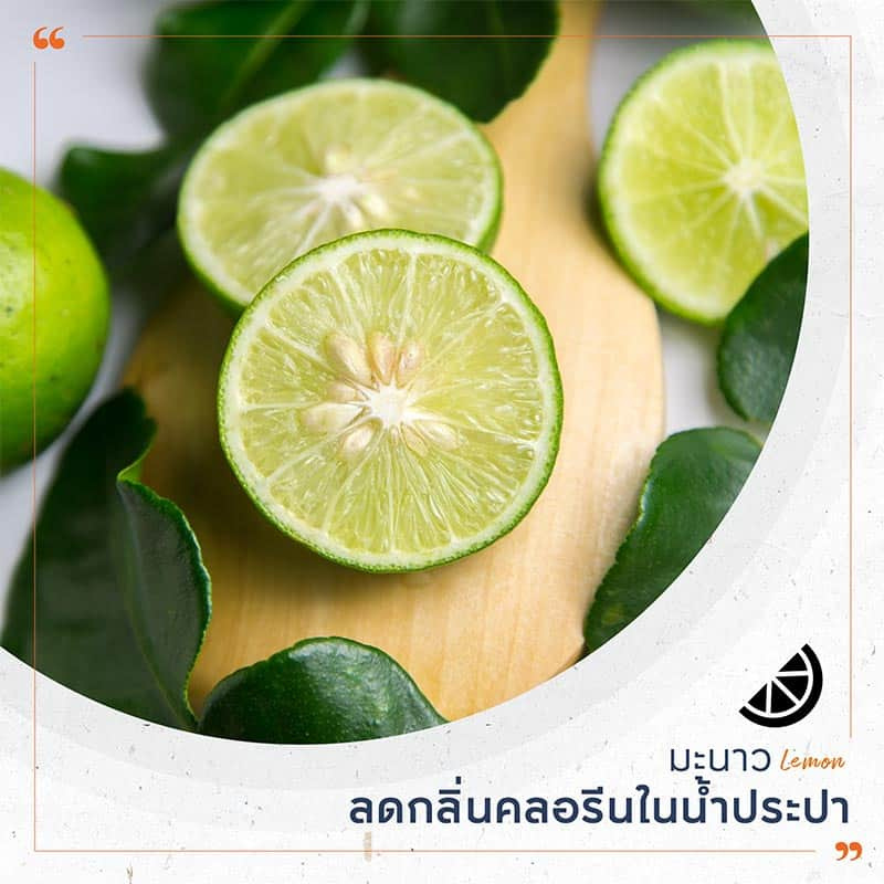 วิธีทำความสะอาดบ้าน