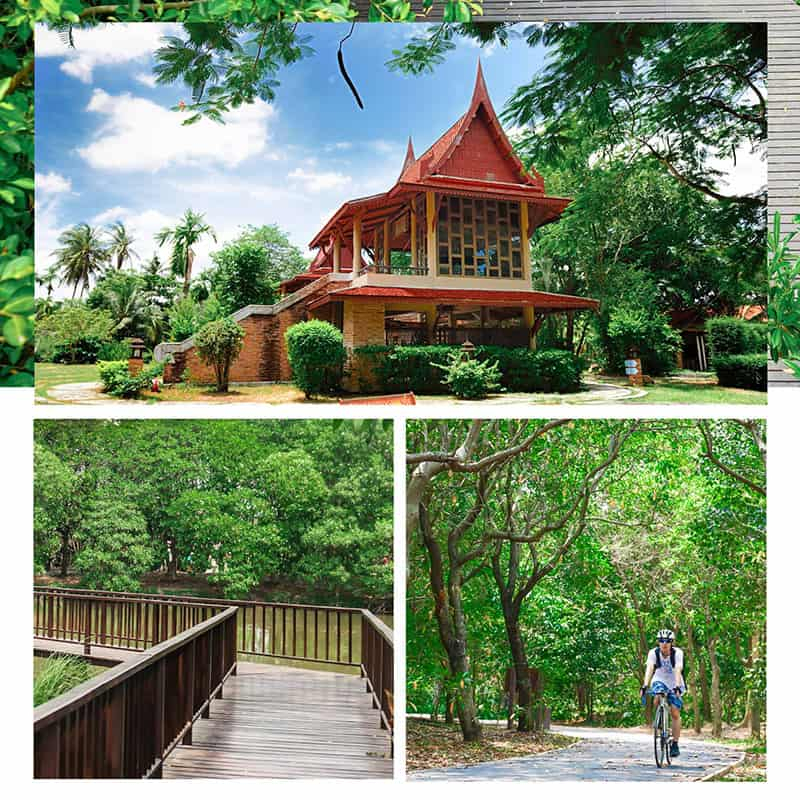 บางกระเจ้า ที่เที่ยวสมุทรปราการเชิงธรรมชาติ