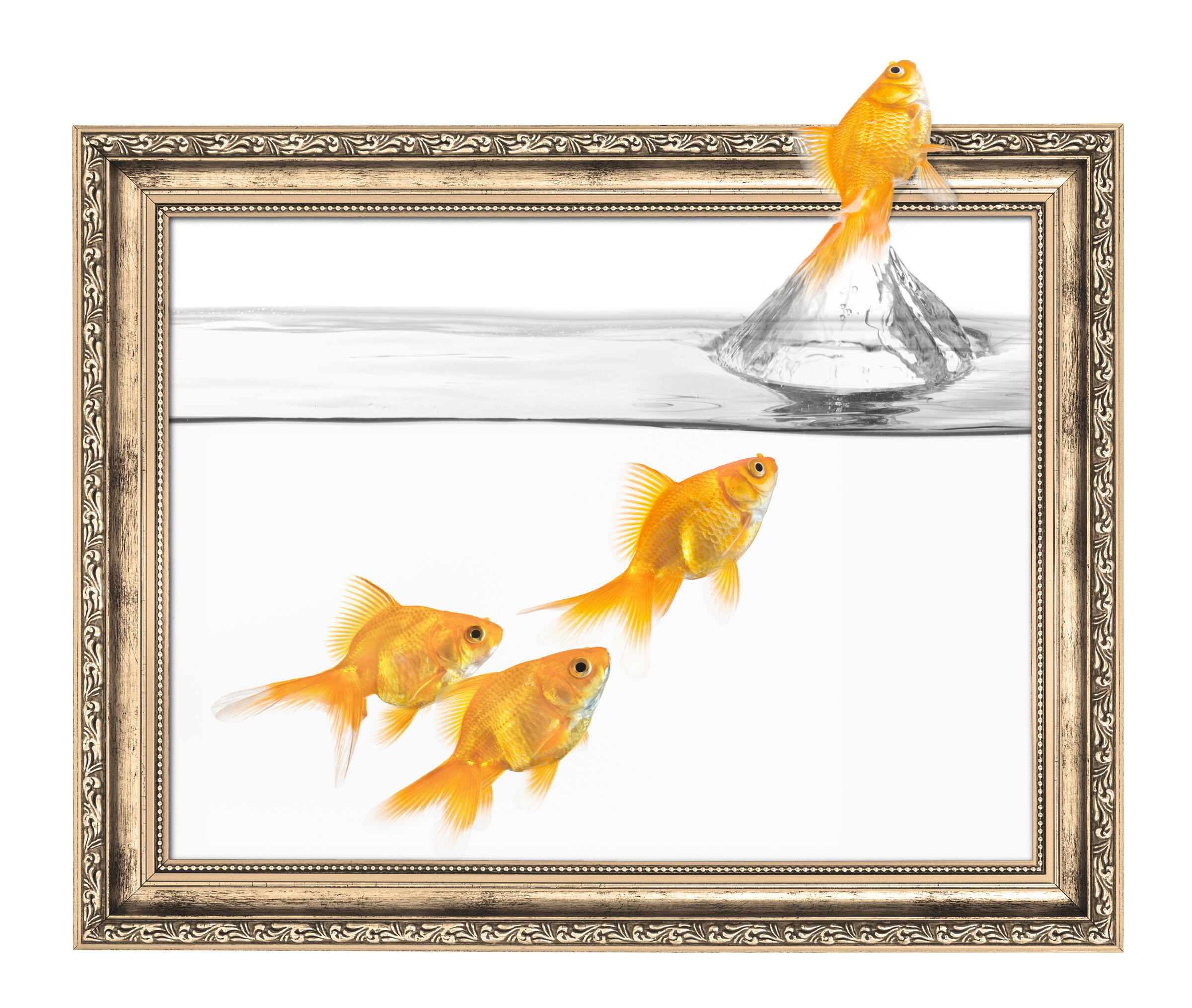 ภาพปลาทอง หนึ่งในภาพมงคลที่ช่วยเสริมความโชคดีให้แก่ผู้อยู่อาศัยในบ้าน