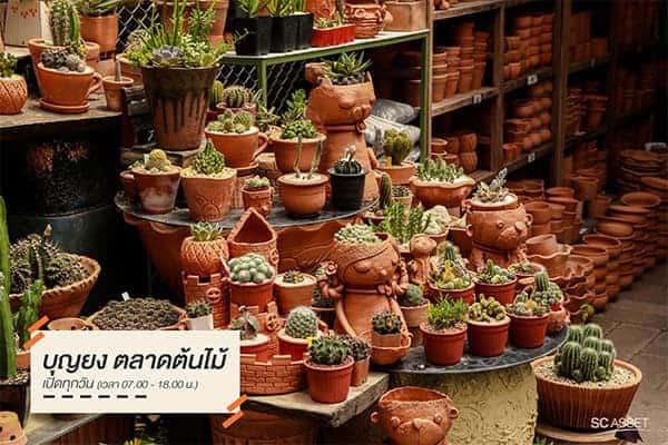 ตลาดต้นไม้บางใหญ่