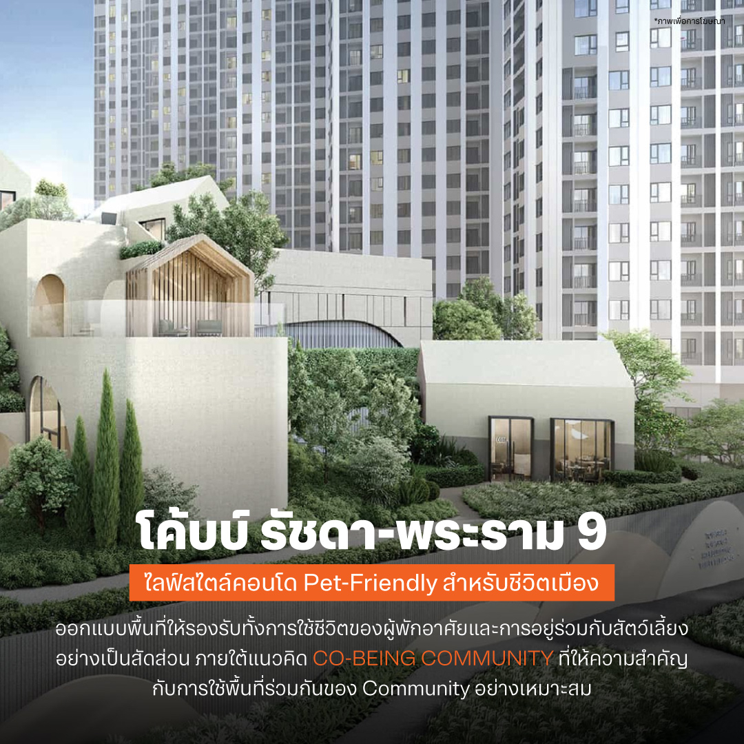 โค้บบ์ รัชดา-พระราม 9 ไลฟ์สไตล์คอนโด Pet-Friendly สำหรับชีวิตเมือง