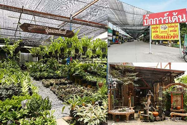 ตลาดต้นไม้บางใหญ่