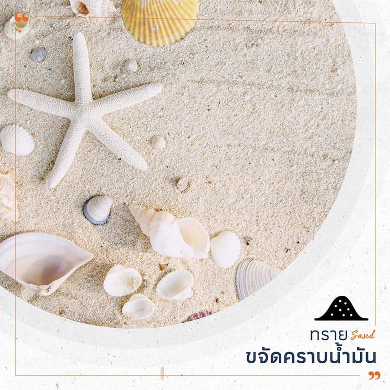 วิธีทำความสะอาดบ้าน