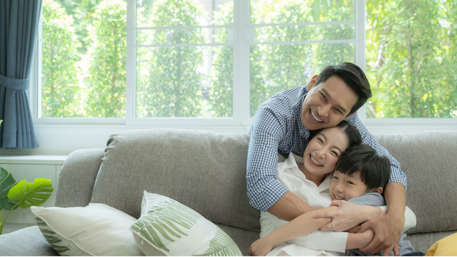 บ้านชานเมือง และในเมือง