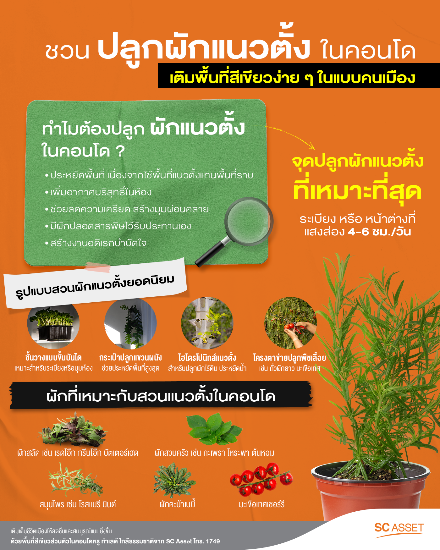 มีพื้นที่สีเขียวในคอนโดได้ง่าย ๆ ด้วยไอเดียสวนผักแนวตั้ง