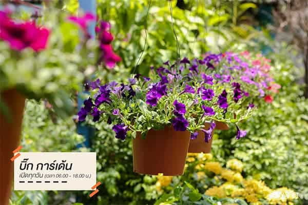 ตลาดต้นไม้บางใหญ่