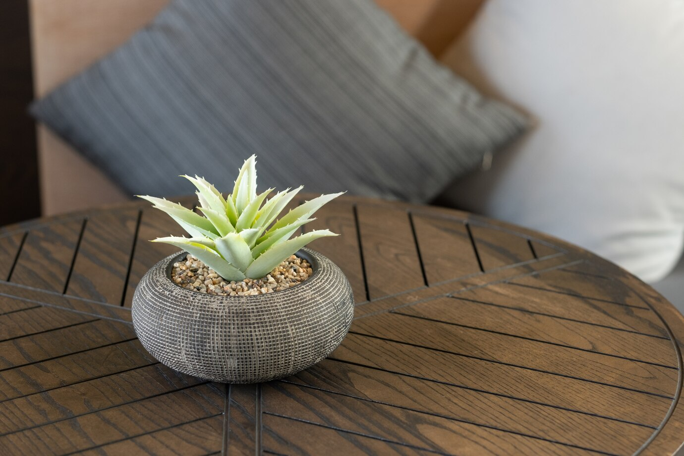 ทำความรู้จักไม้มงคล