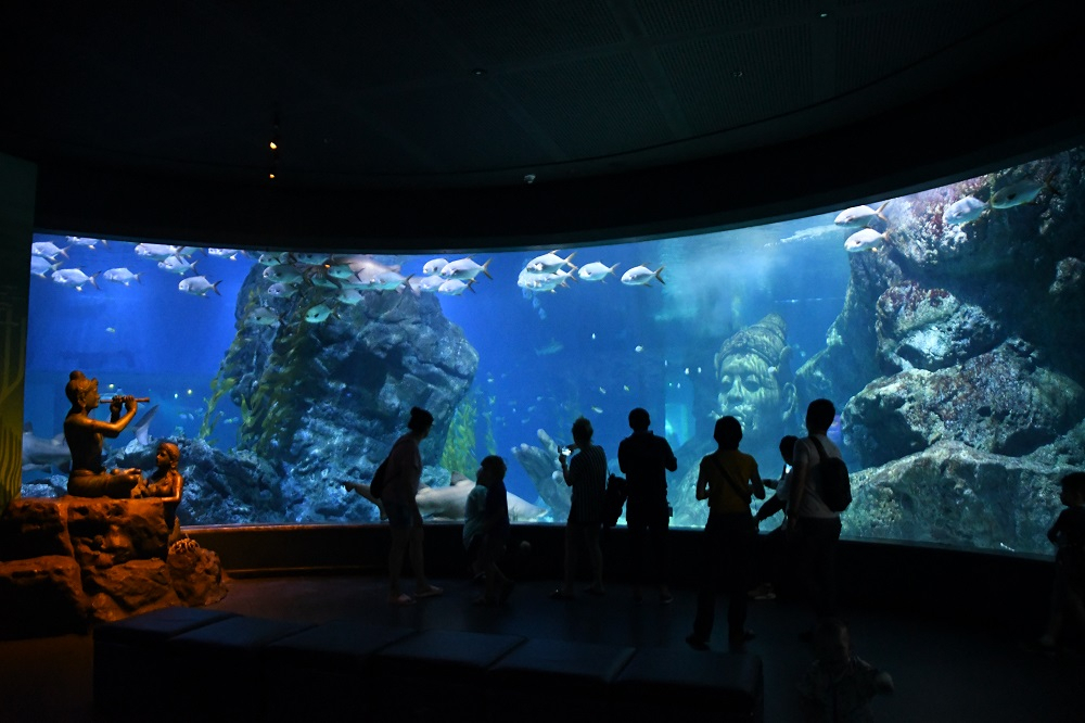 ที่เที่ยววาเลนไทน์ 2569 ที่เที่ยวกับแฟน กรุงเทพ ซีไลฟ์ แบงคอก