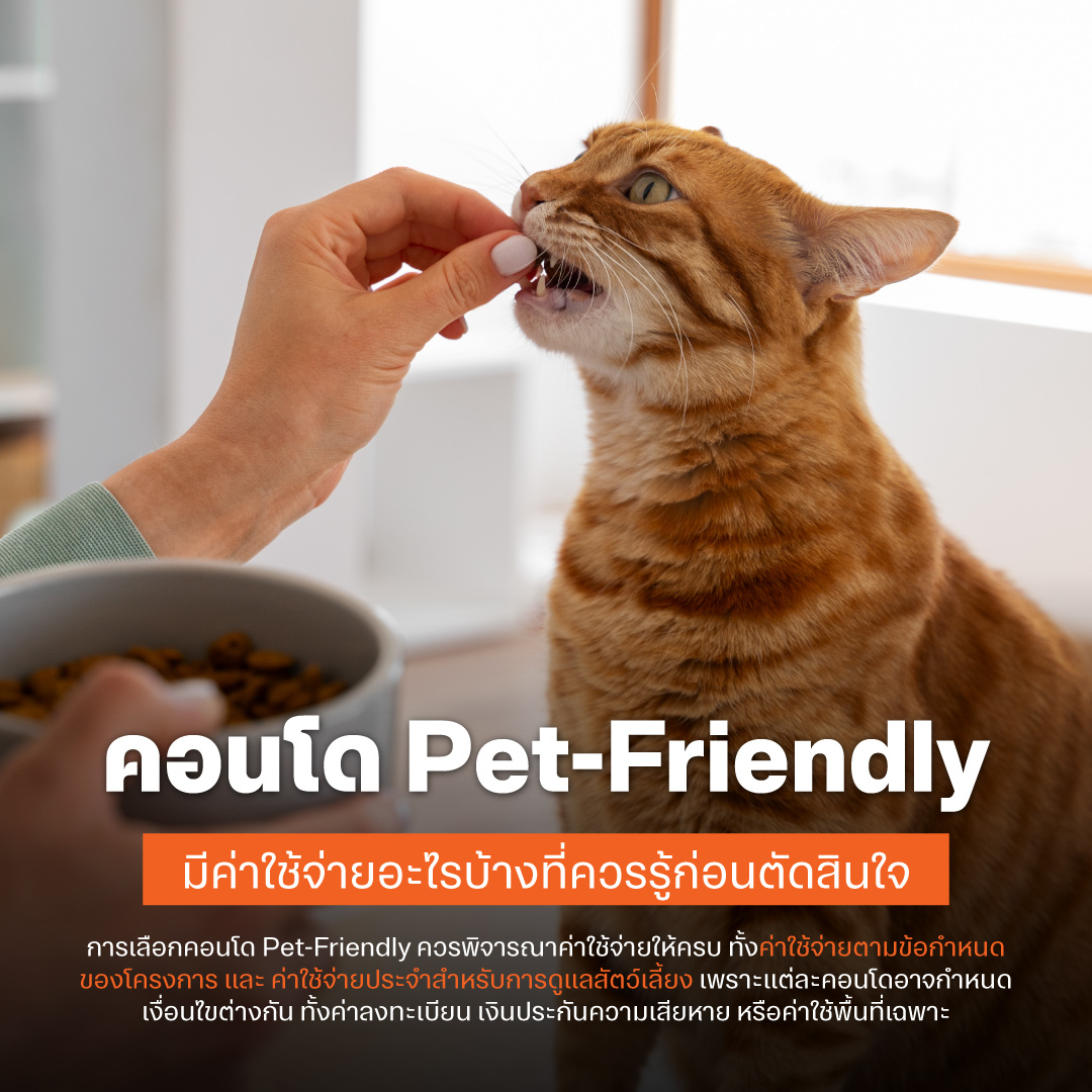 คอนโด Pet-Friendly มีค่าใช้จ่ายอะไรบ้างที่ควรรู้ก่อนตัดสินใจ