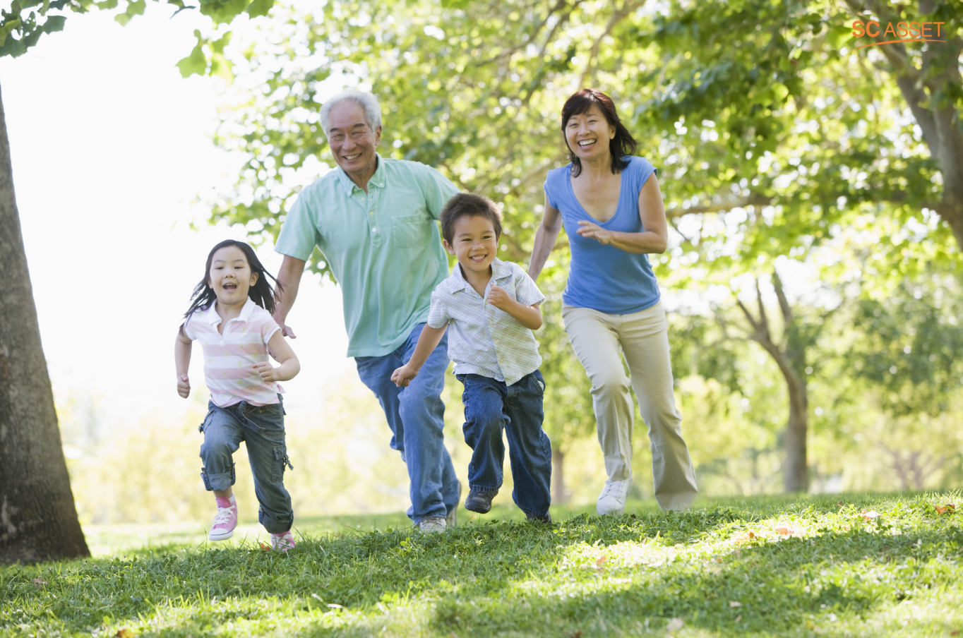 พืนที่สีเขียว พัฒนาการ