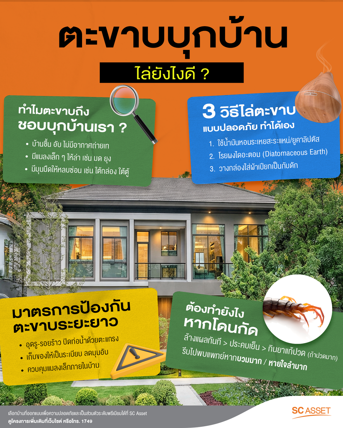 วิธีไล่ตะขาบและข้อมูลอื่น ๆ ที่ควรรู้ในการรับมือกับตะขาบ