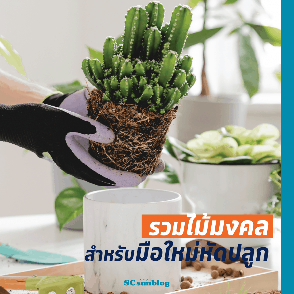 Tips for good mornings