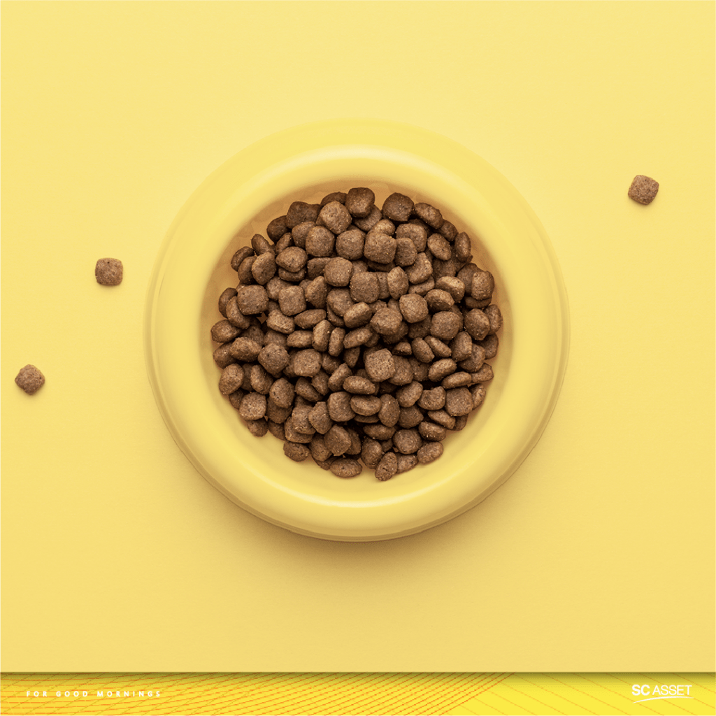 สิ่งของจำเป็นช่วง COVID-19