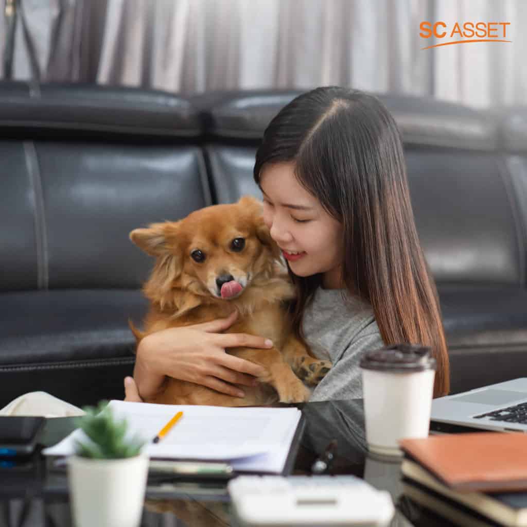 เทคนิค Work From Home