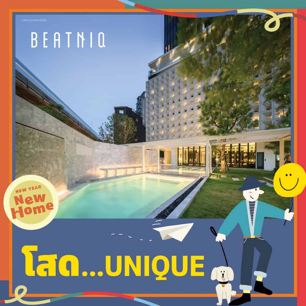 โสดในเมือง