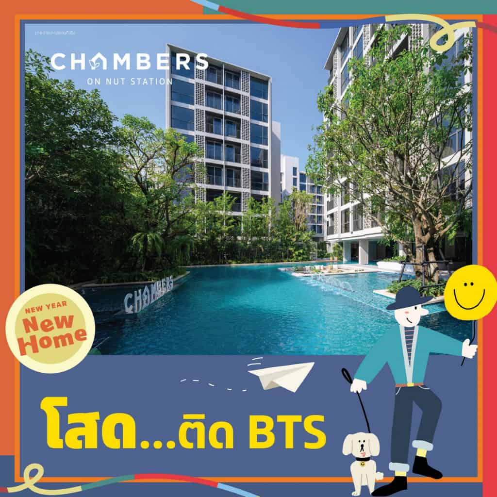 โสดในเมือง