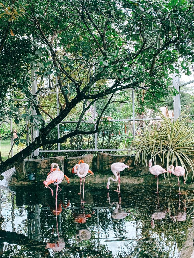 ที่เที่ยวหัวหิน