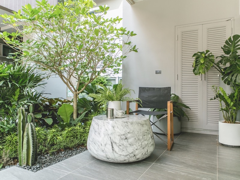 บ้านคนโสด