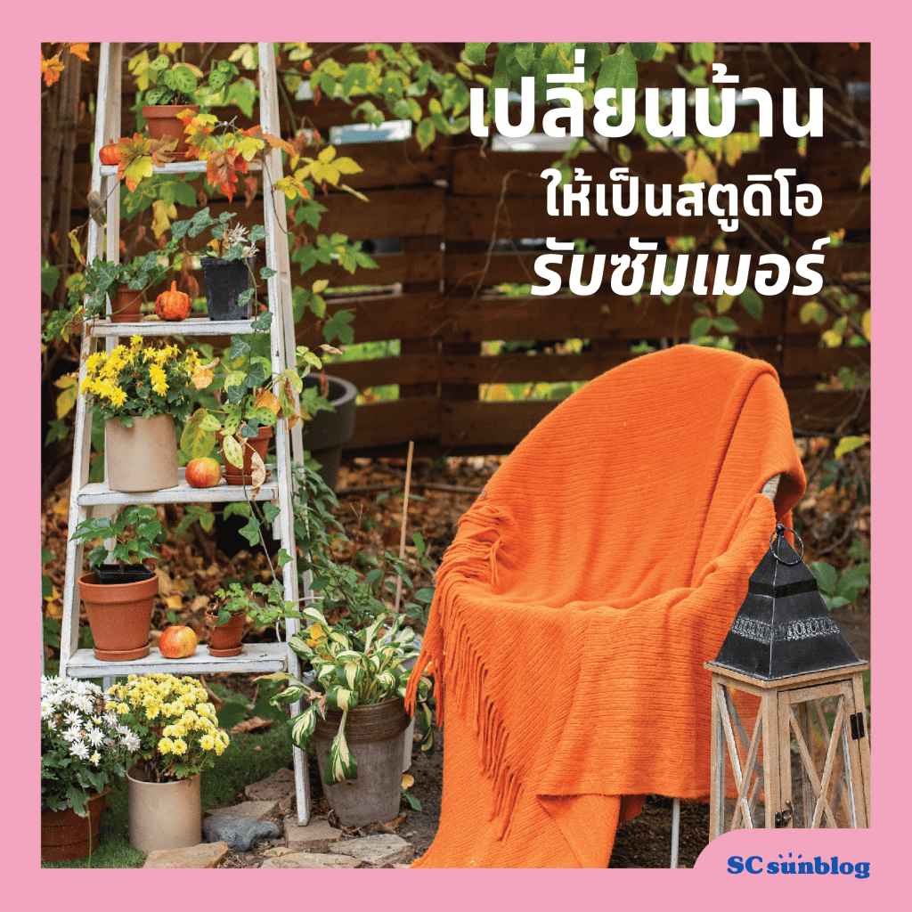 เที่ยวสนุกทุกซัมเมอร์