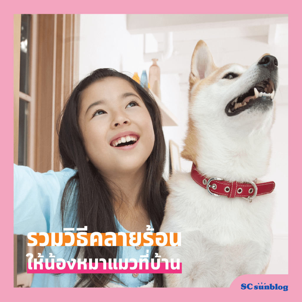 เที่ยวสนุกทุกซัมเมอร์