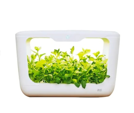 เทคโนโลยี ที่ช่วยให้ชีวิตในบ้านสะดวก