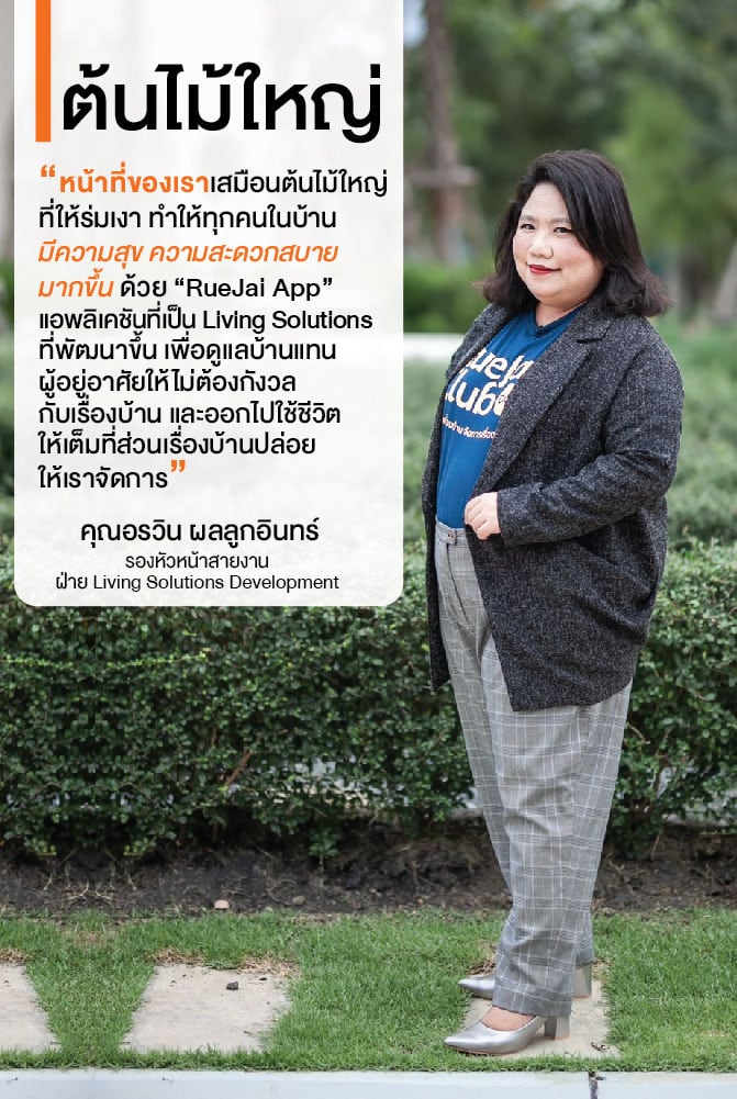 ดอกไม้ ประตู แจกัน ดินทราย ต้นไม้ใหญ่ แห่งบ้าน SC ASSET