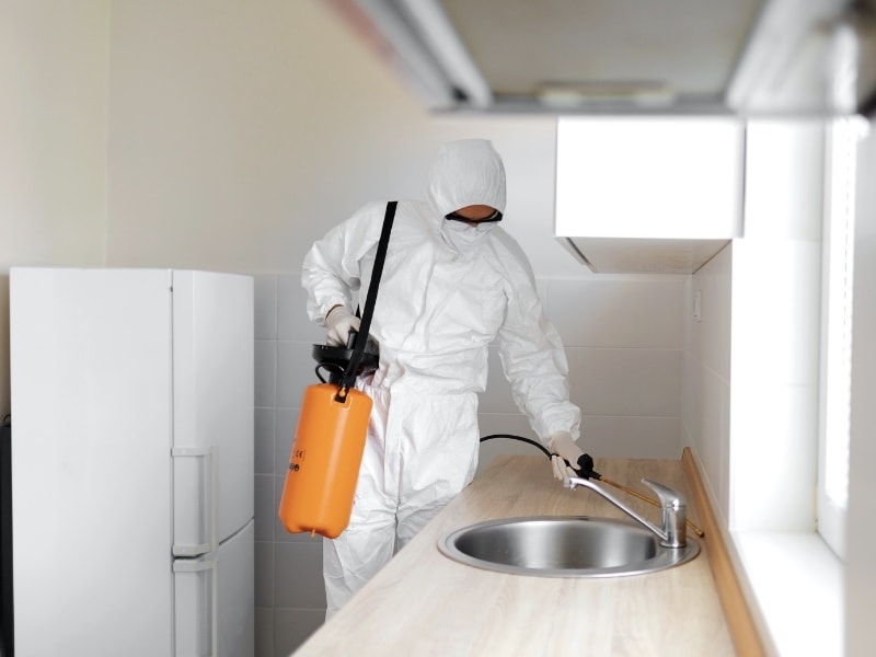 ป้องกันปลวก ฉีดปลวก