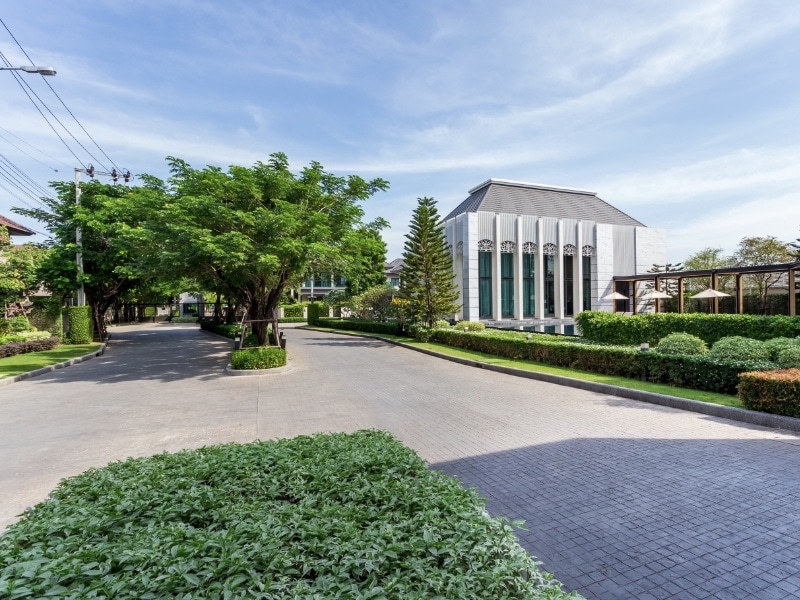 เล่น Surfskate