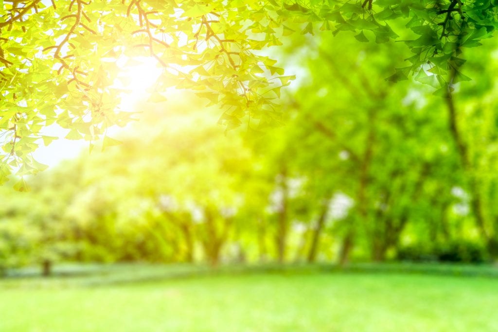 เพลย์ลิสต์ฮีลใจ