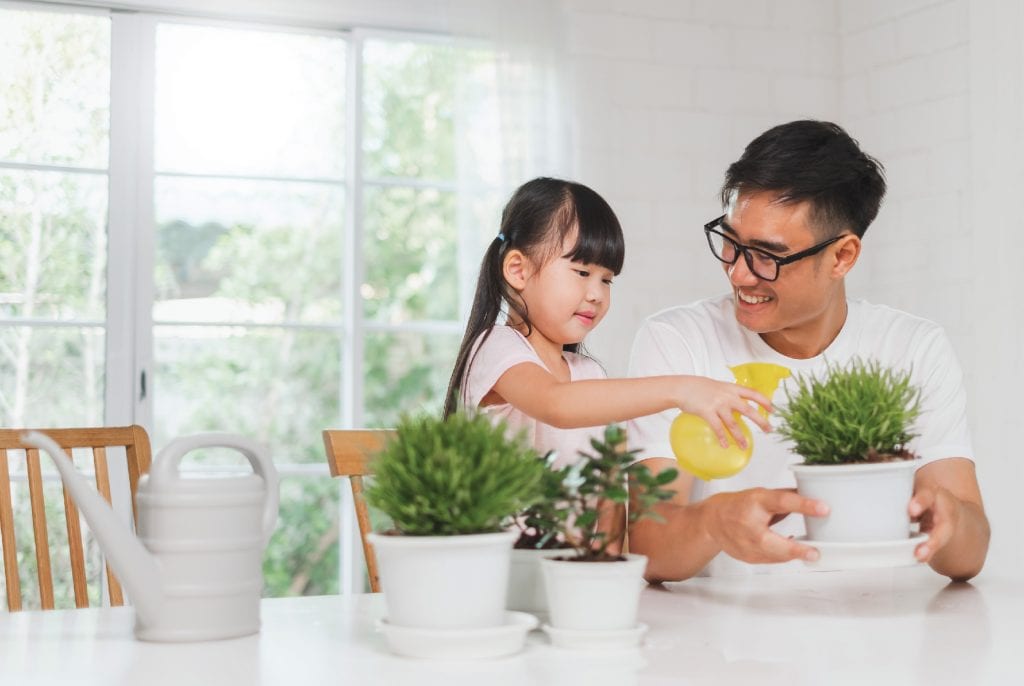 เสริมพัฒนาการ