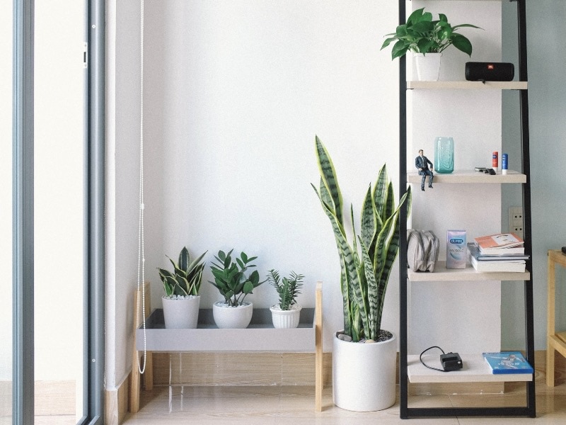 มุมโปรด