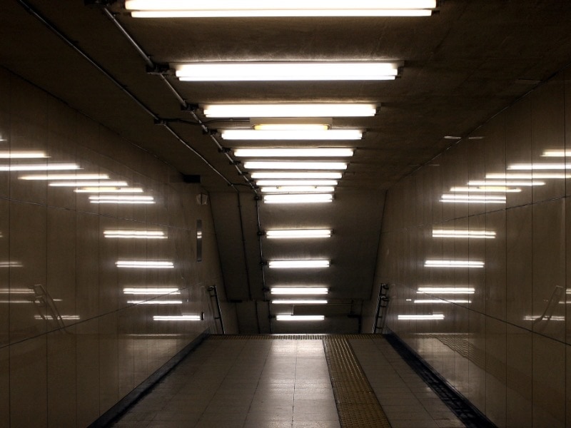 ประเภทของหลอดไฟ