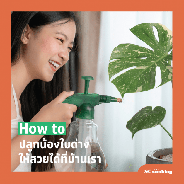 จักรวาลบ้านเรา