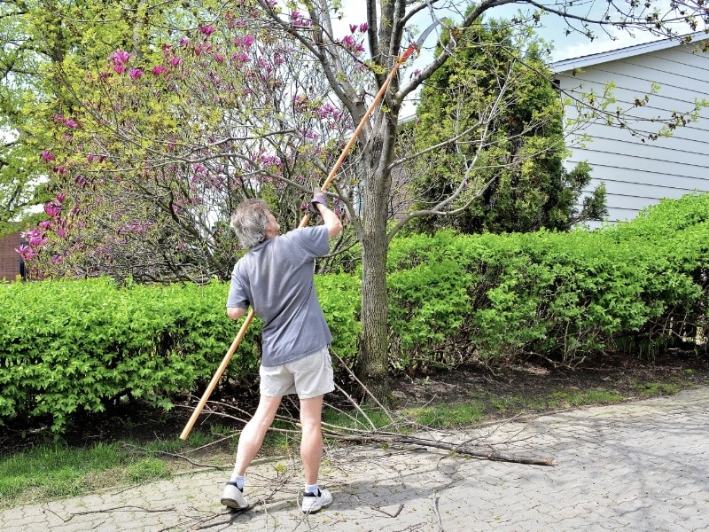 วิธีการดูแลบ้าน ช่วงหน้าฝน