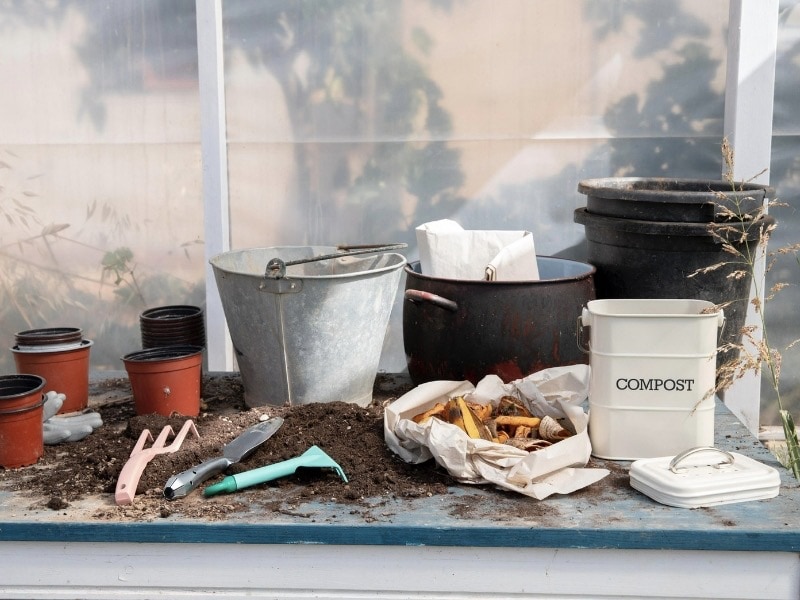 การปลูกต้นไม้ในกระถาง สำหรับมือใหม่