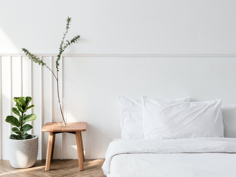 การปลูกต้นไม้ในกระถาง สำหรับมือใหม่