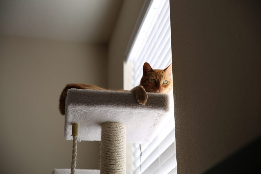 เทรนด์บ้านประจำปี 2022