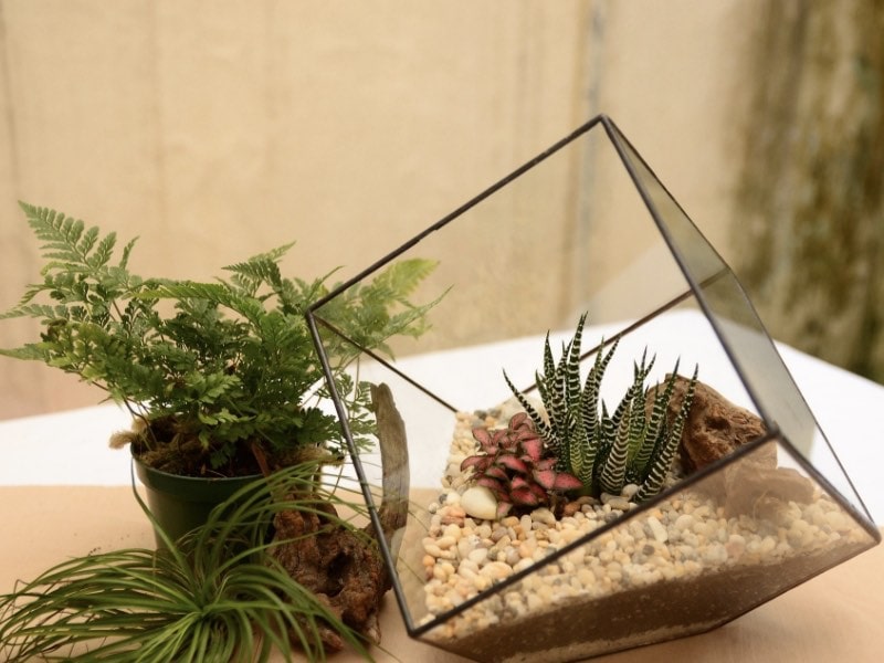 ของขวัญ diy