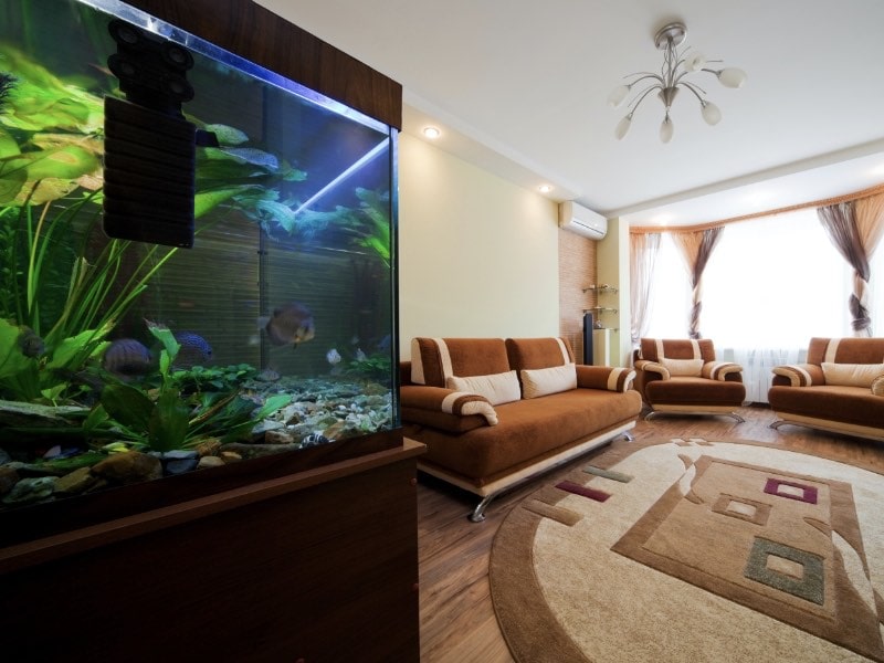 แต่งบ้านปีเสือ