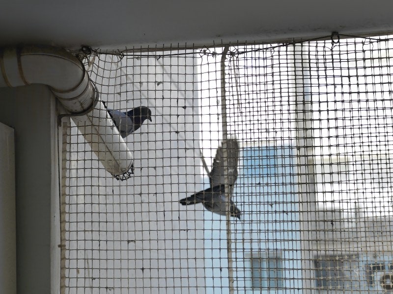 แผ่นกันนกพิราบ ออกแบบมาเพื่อป้องกันนกไม่ให้เกาะหรือทำรัง เป็นวิธีไล่นกพิราบตรงระเบียงที่ได้ผลดีมาก