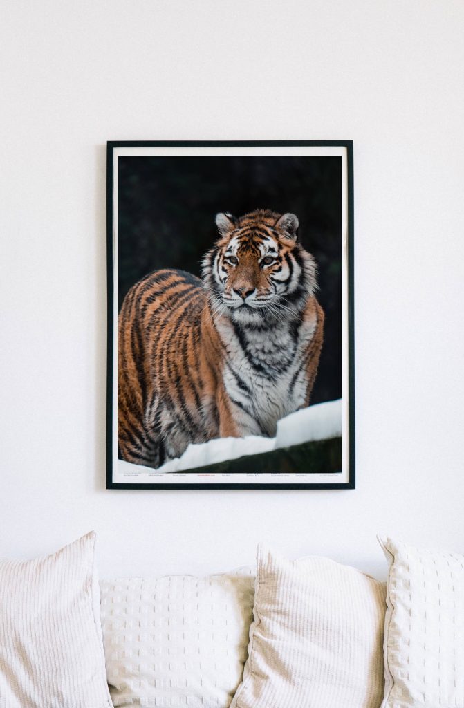 จัดบ้านรับปีใหม่ ภาพตกแต่งห้อง