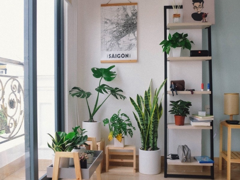 ของมงคล