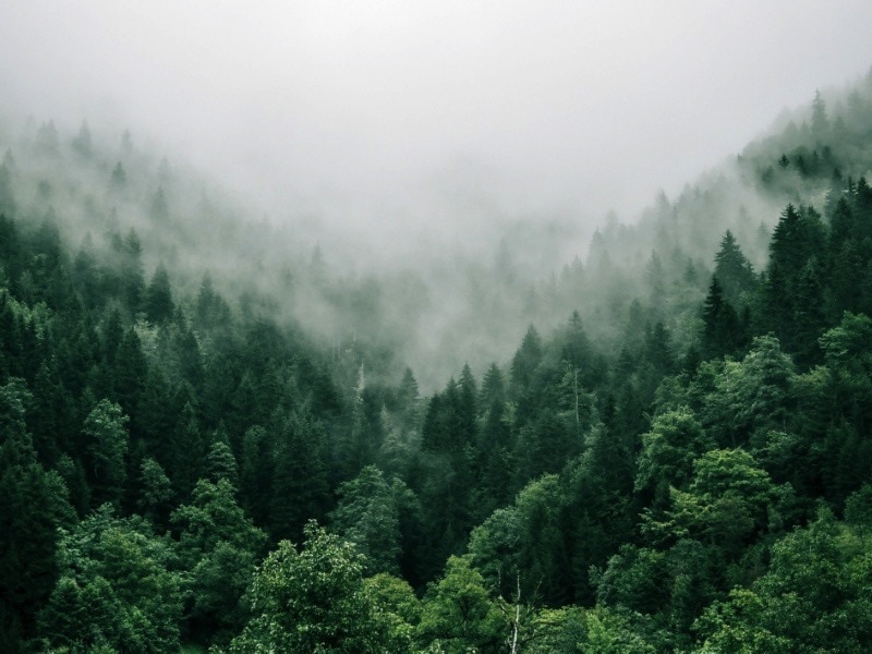 ของมงคล