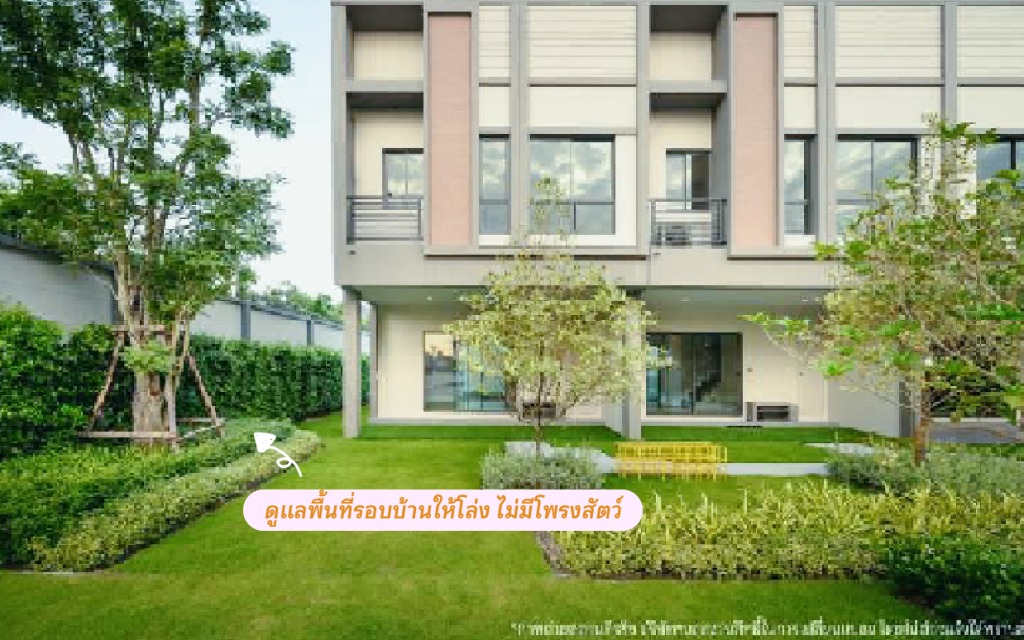 ดูแลบ้านหน้าฝน